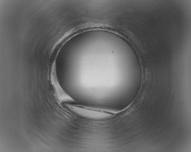 X0000076041165200610201846