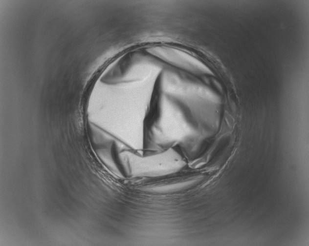 X0000076041167200610201845