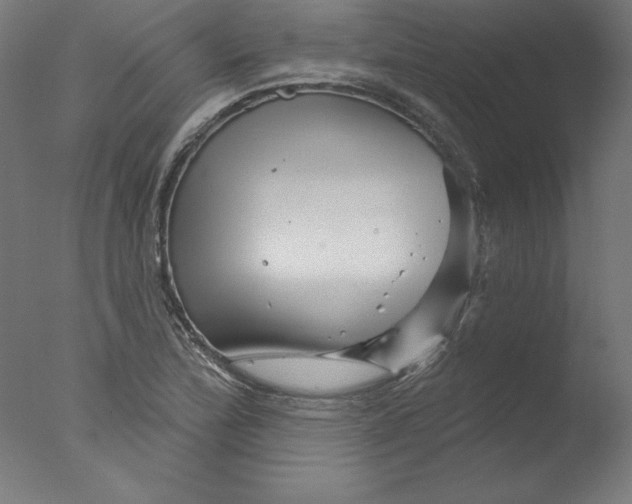 X0000076041172200610201845