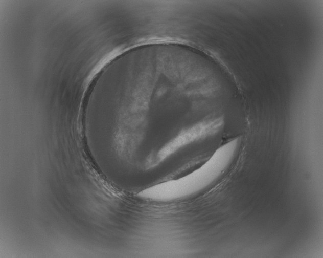 X0000076041173200610201845