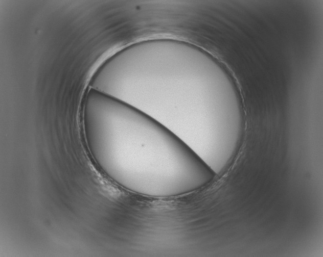 X0000076041181200610201845