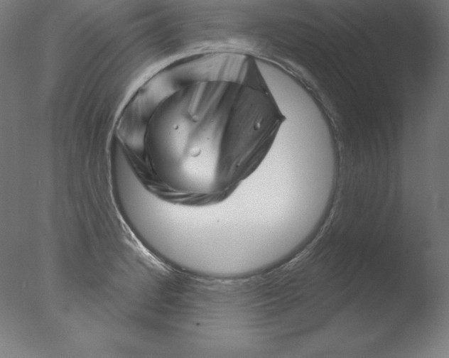 X0000076041184200610201845