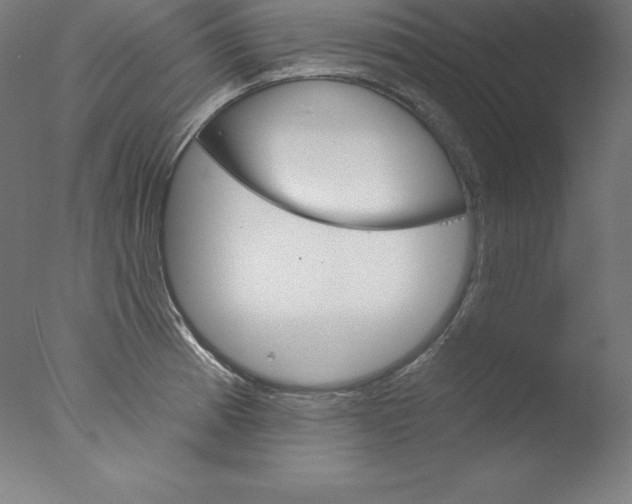 X0000076041185200610201845