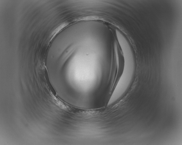 X0000076041193200610201845