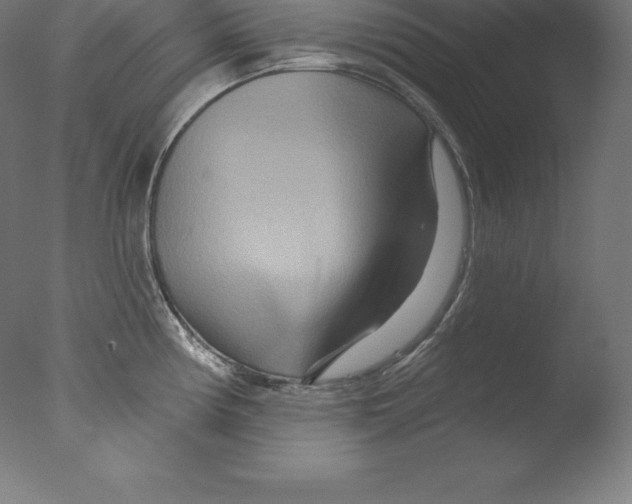 X0000076041194200610201845