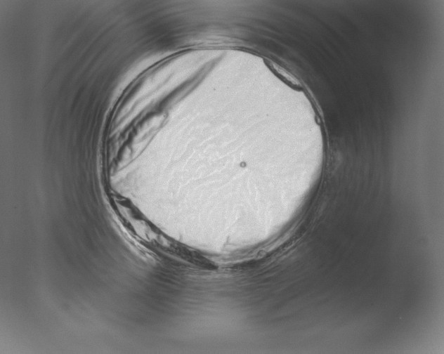 X0000076041195200610201845