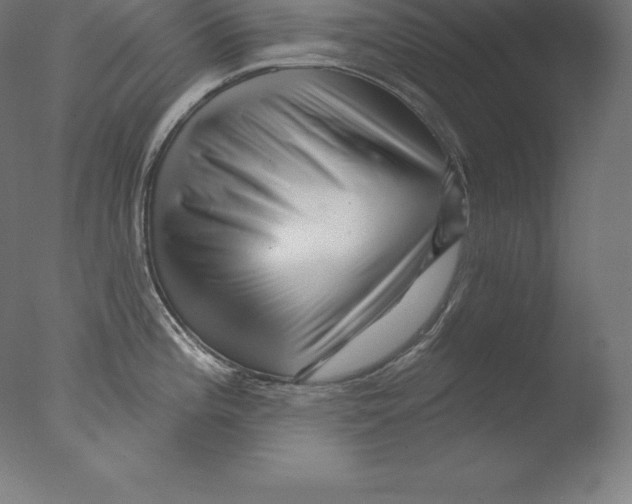 X0000076041196200610201845