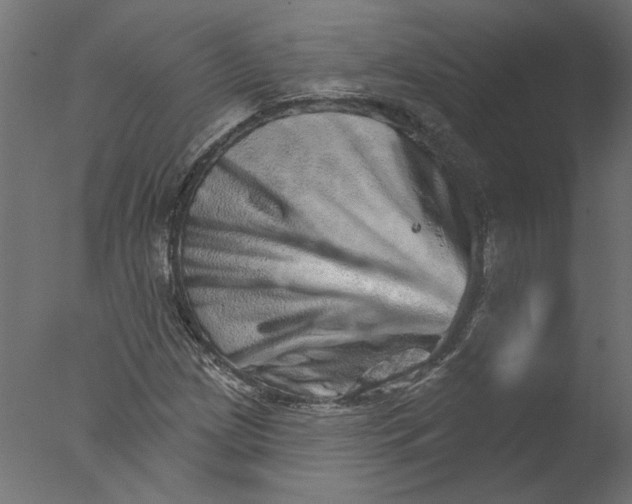X0000076041209200610201844