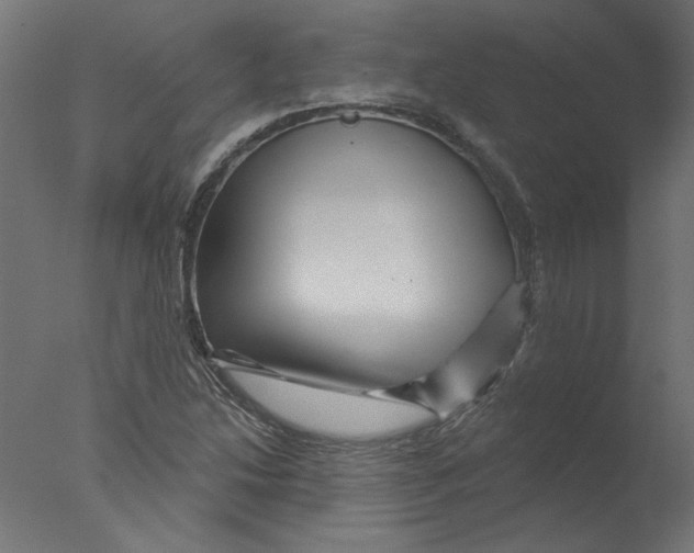 X0000076041214200610201844