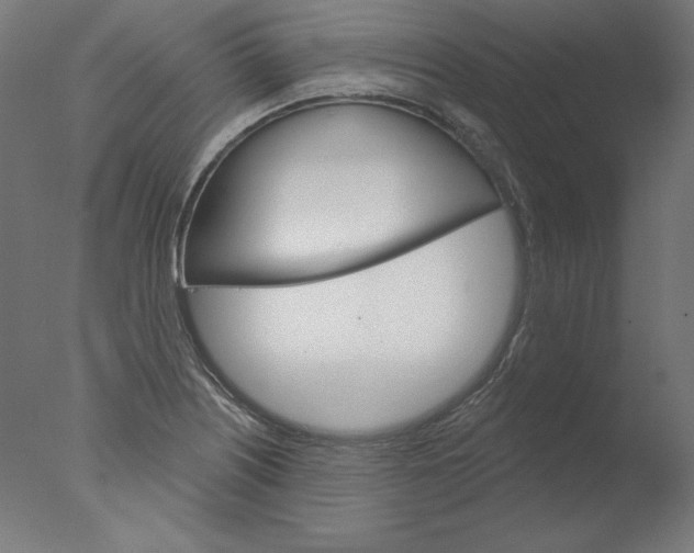 X0000076041226200610201845
