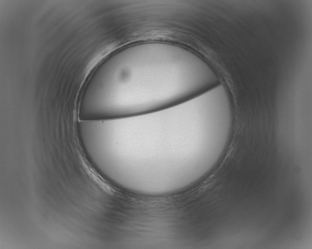 X0000076041234200610201845