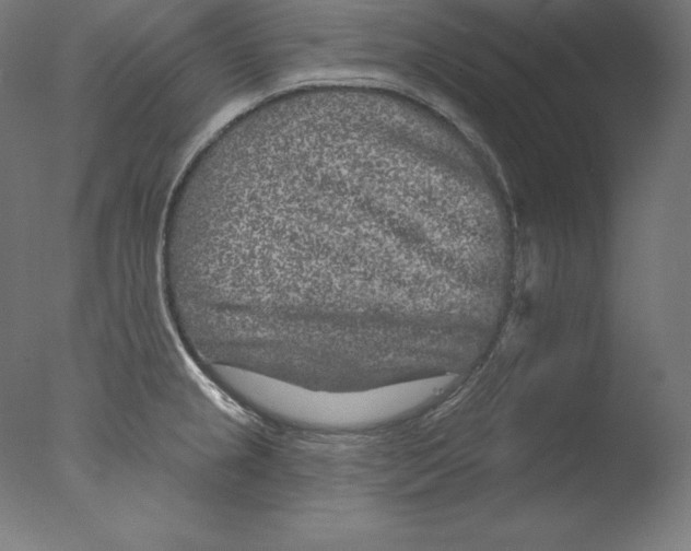 X0000076041237200610201845