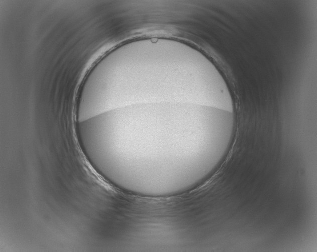 X0000076041240200610201845