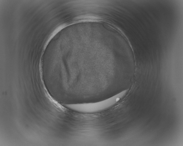 X0000076041243200610201845