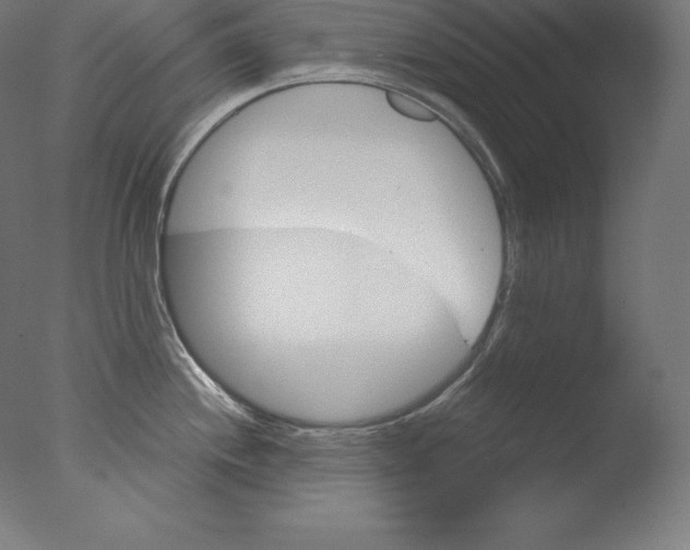 X0000076041244200610201845