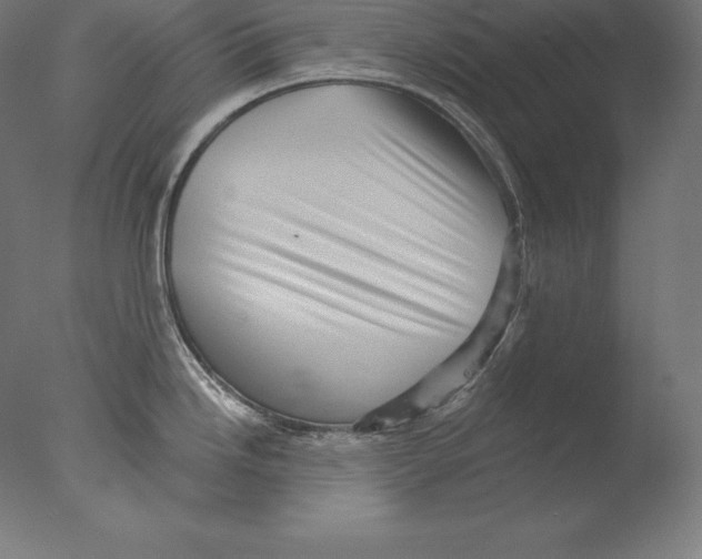 X0000076041246200610201845