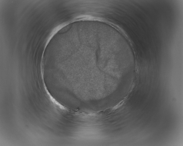X0000076041247200610201845