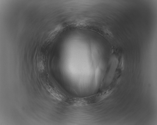 X0000076041250200610201844