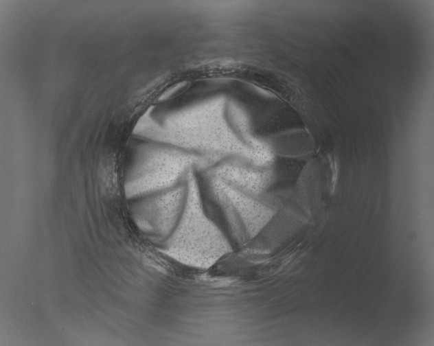 X0000076041252200610201844