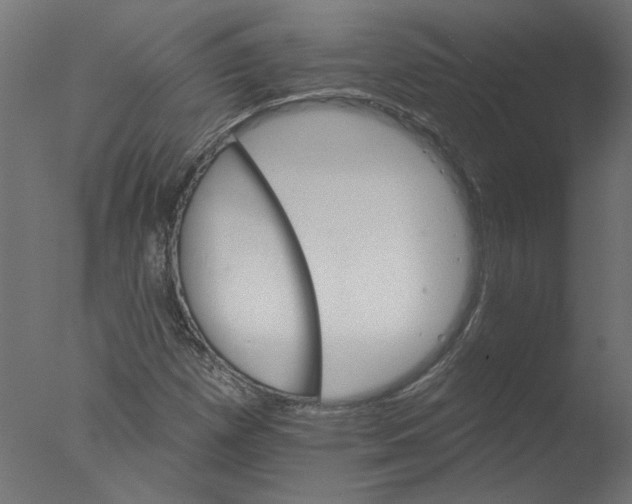 X0000076041257200610201844
