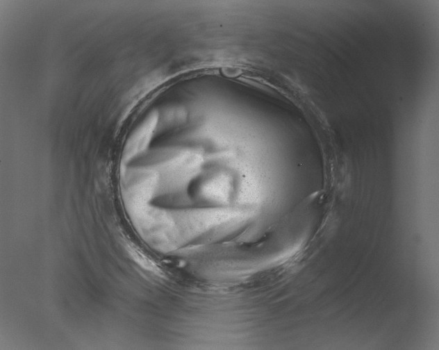 X0000076041260200610201844