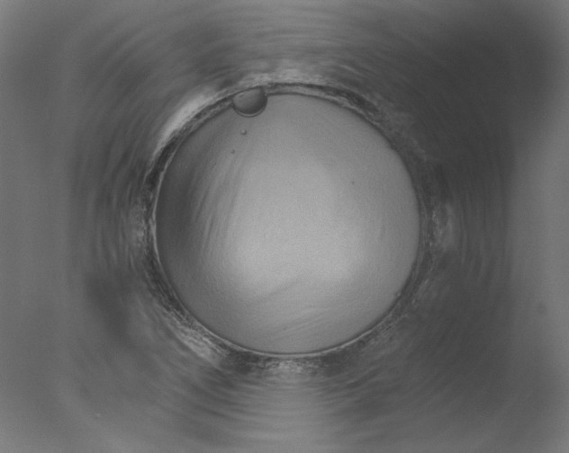 X0000076041266200610201844