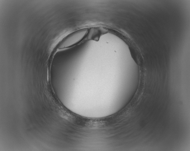 X0000076041269200610201844