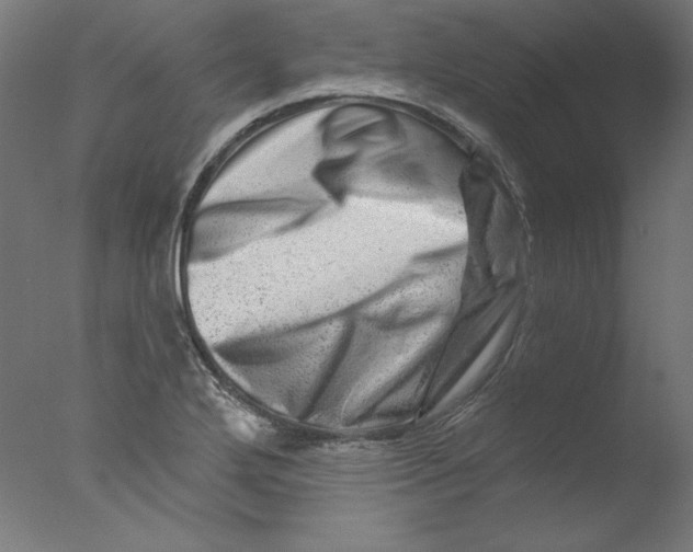 X0000076041272200610201844