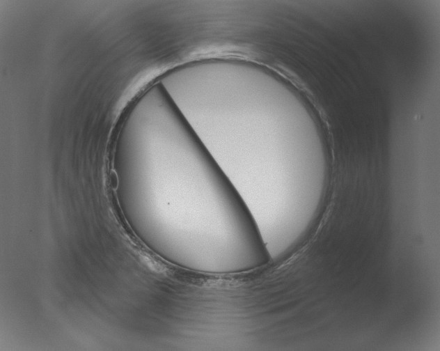 X0000076041277200610201844