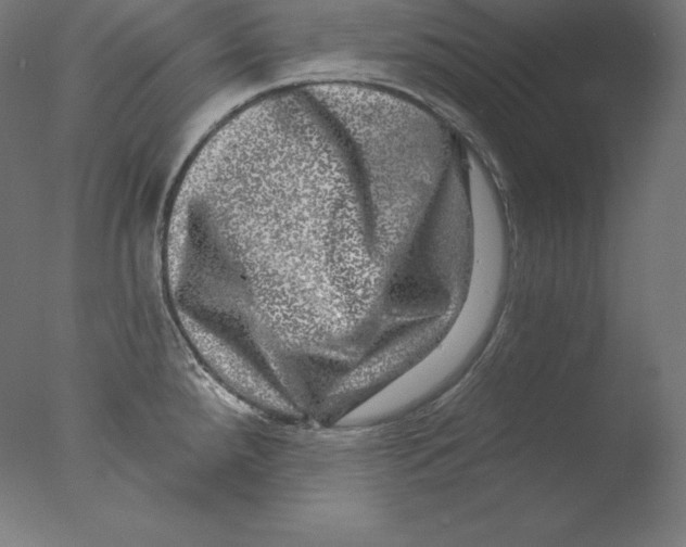 X0000076041288200610201843