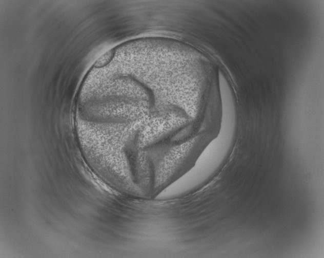 X0000076041292200610201843