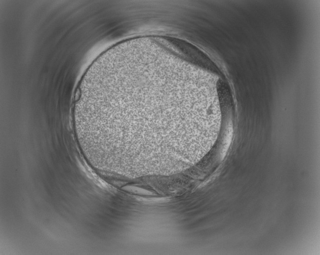 X0000076041296200610201843