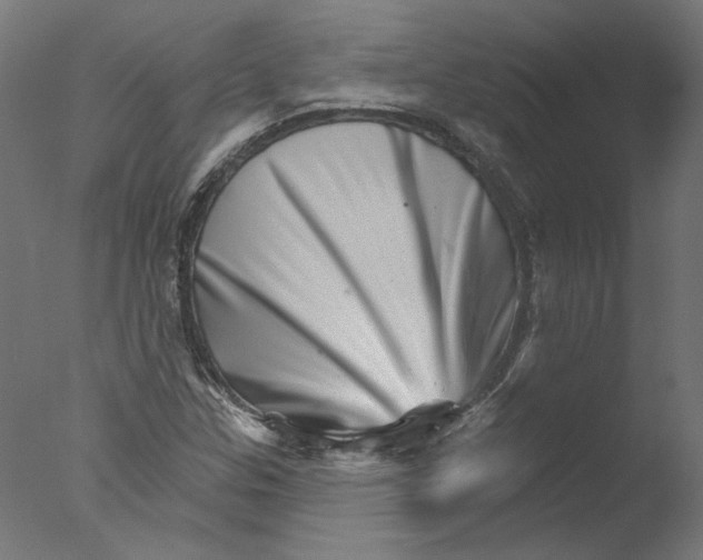 X0000076041307200610201843