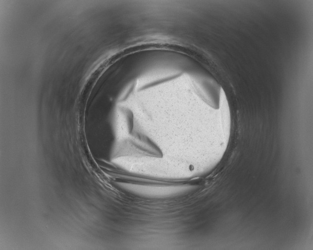 X0000076041318200610201843