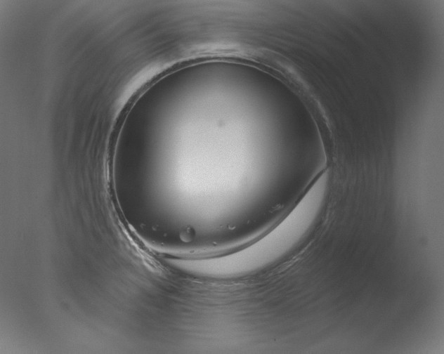 X0000076041328200610201843