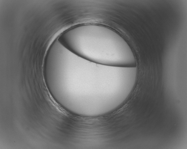 X0000076041332200610201843