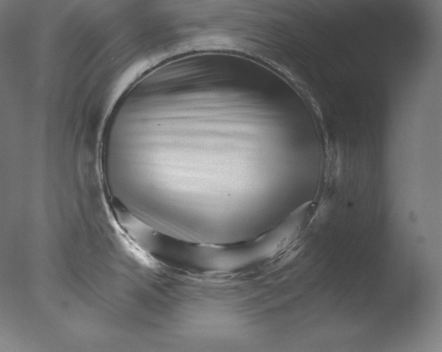 X0000076041342200610201843