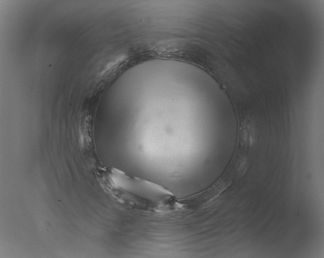X0000076041346200610201842