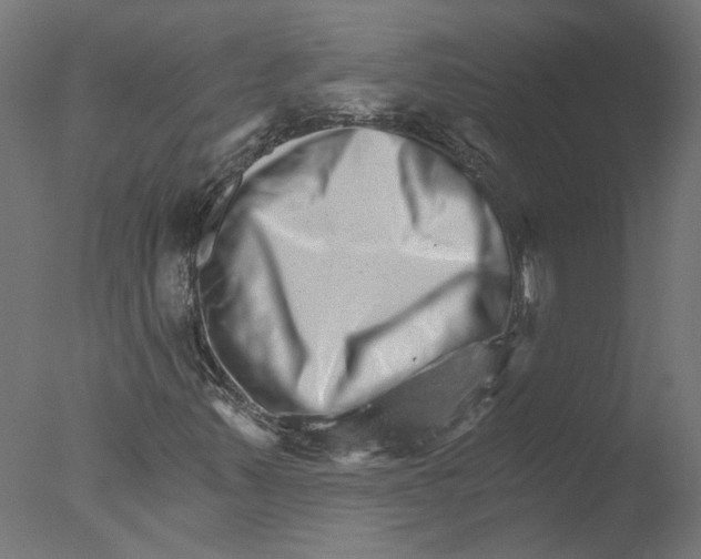 X0000076041347200610201842