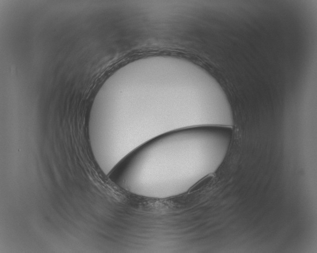X0000076041348200610201842