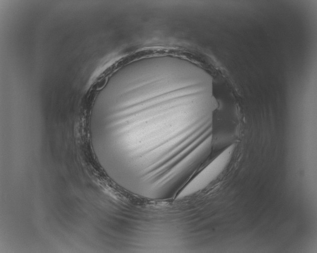 X0000076041352200610201842