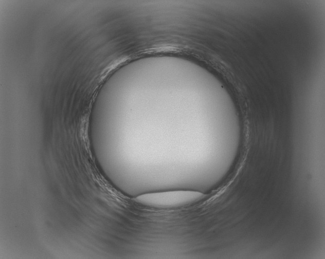 X0000076041353200610201842