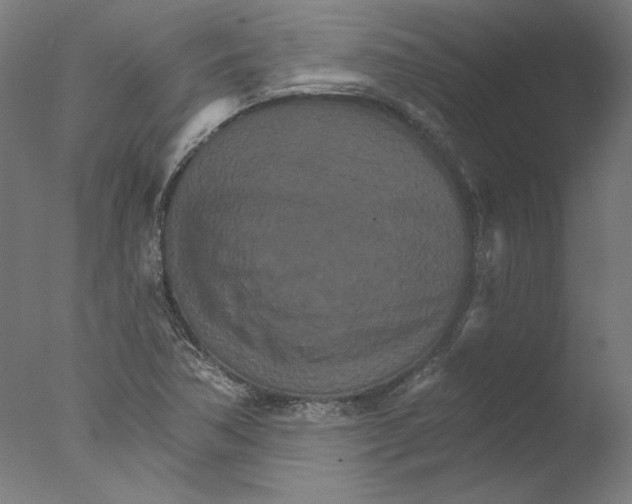 X0000076041362200610201842