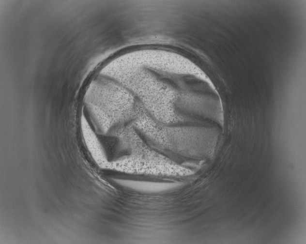 X0000076041364200610201842