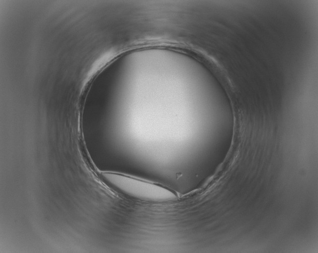 X0000076041365200610201842