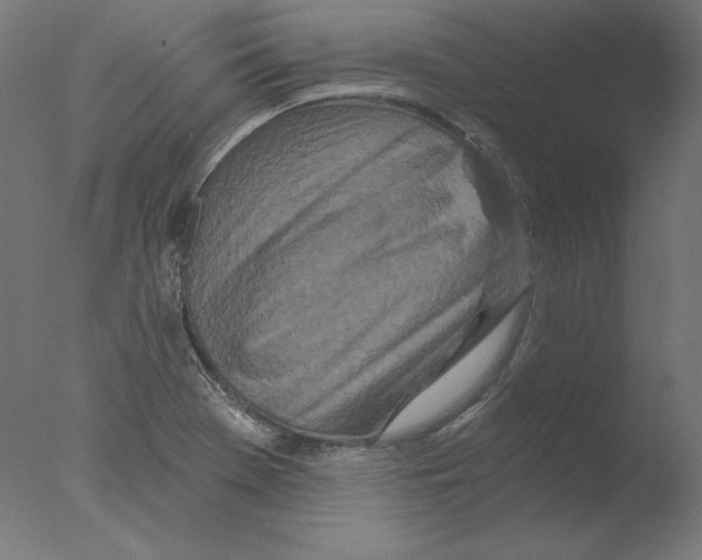 X0000076041369200610201842