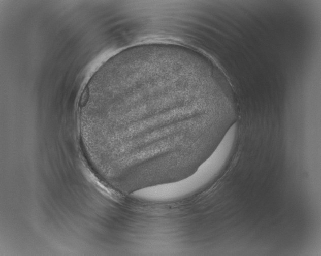 X0000076041371200610201842