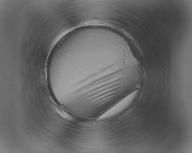 X0000076041372200610201842