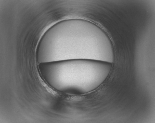 X0000076041380200610201842