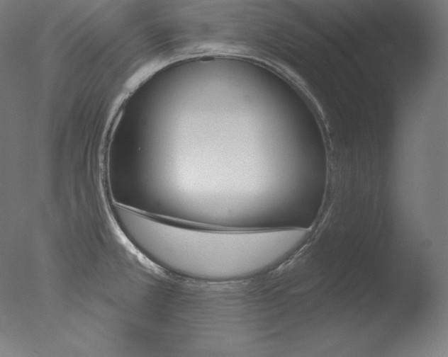 X0000076041381200610201842